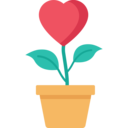 care,heart,love,pot,plant,love and romance,growth,plant pot
